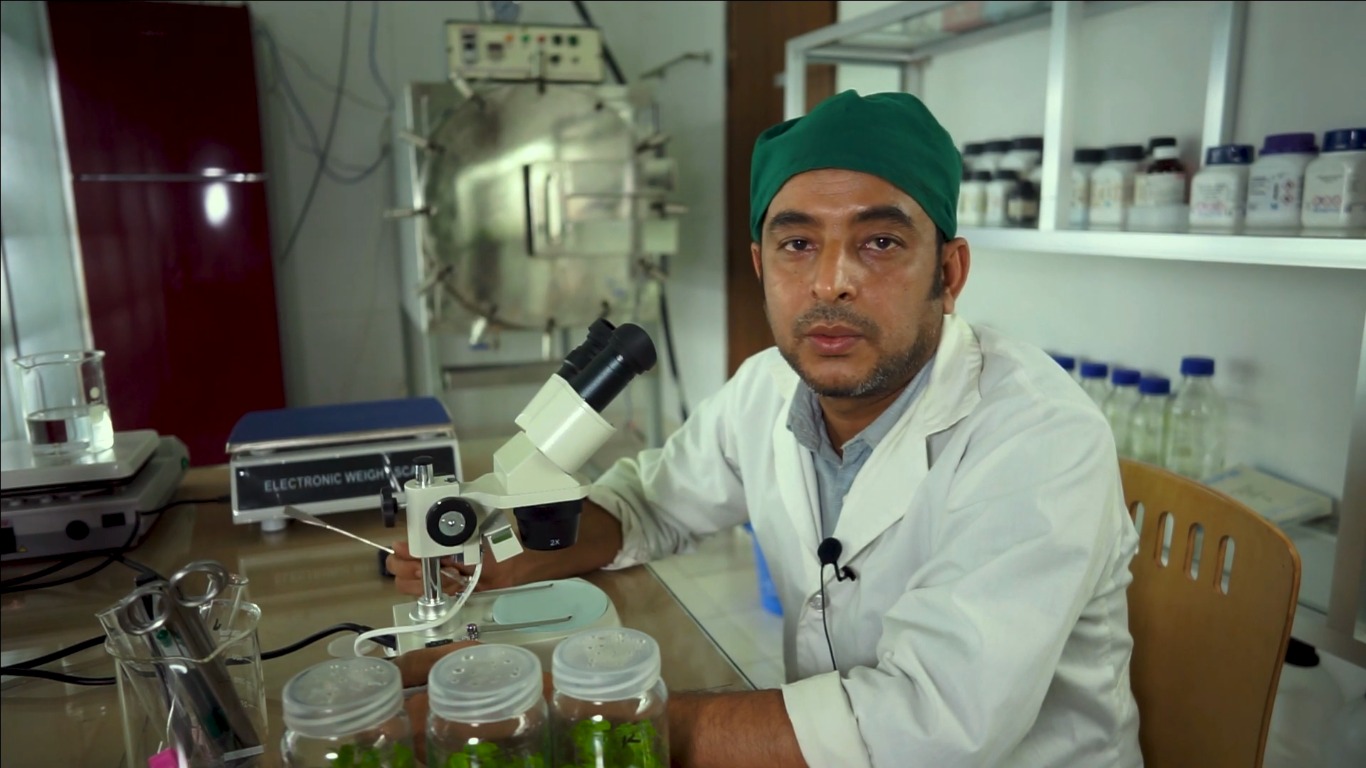 Advancing Sustainable Agriculture Through Tissue Culture Technology