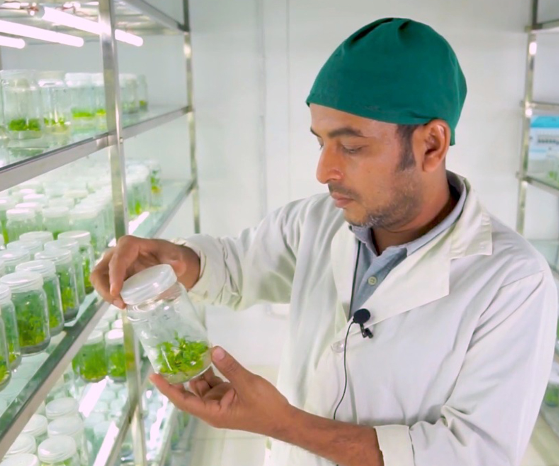 tissue culture lab